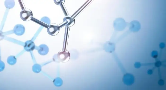 生物医学仿真的前沿应用