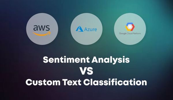 情绪分析 API 与自定义文本分类：选择哪一个？