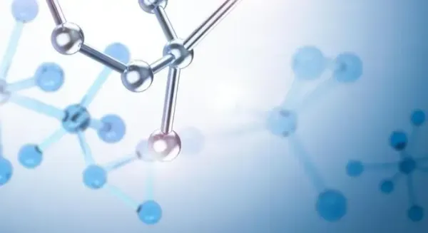 生物医学仿真的前沿应用